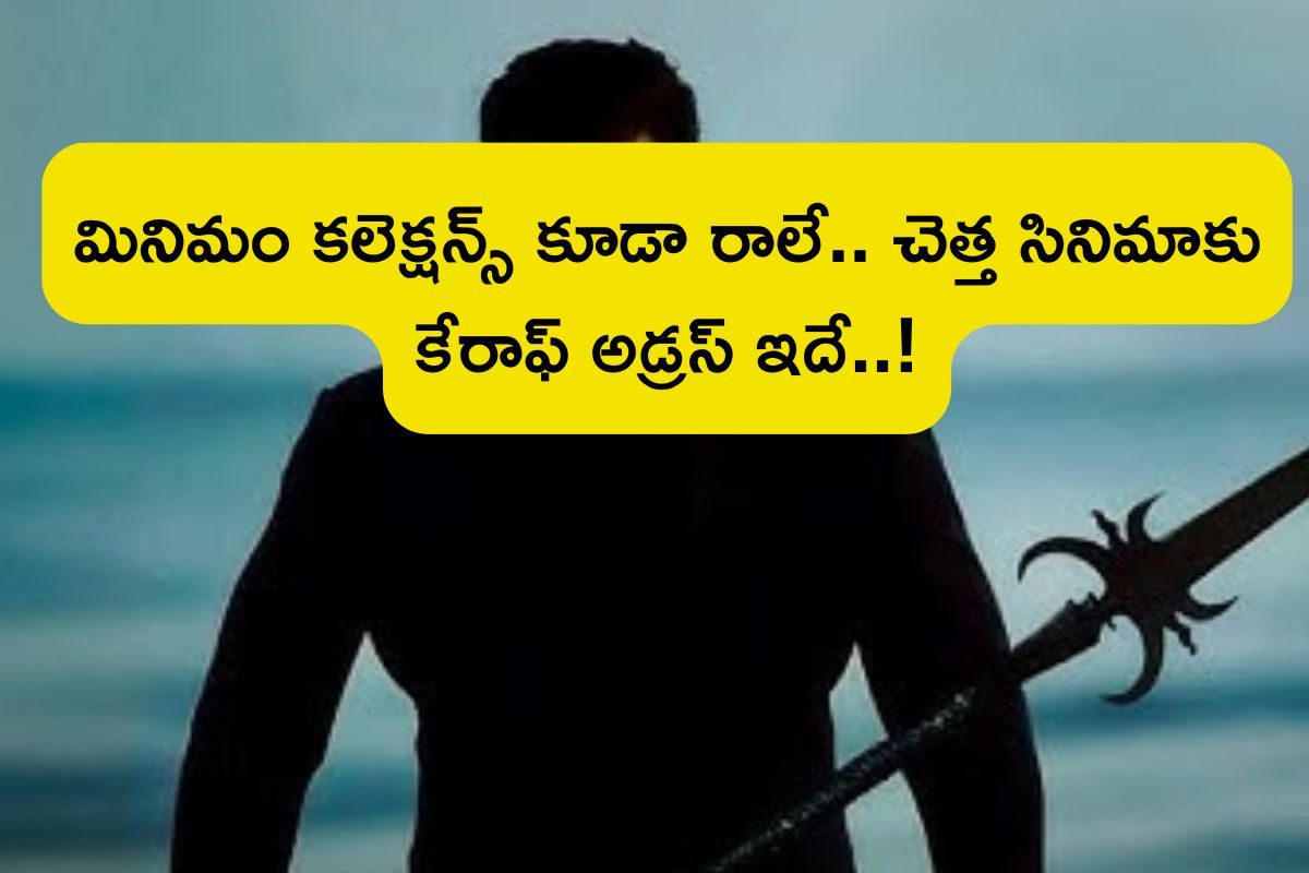 Star Hero: హీరోకే రూ.100 కోట్లు ఇచ్చారు.. సినిమా మొత్తం వసూళ్లు చూస్తే రూ.90 కోట్లే.. కానీ
