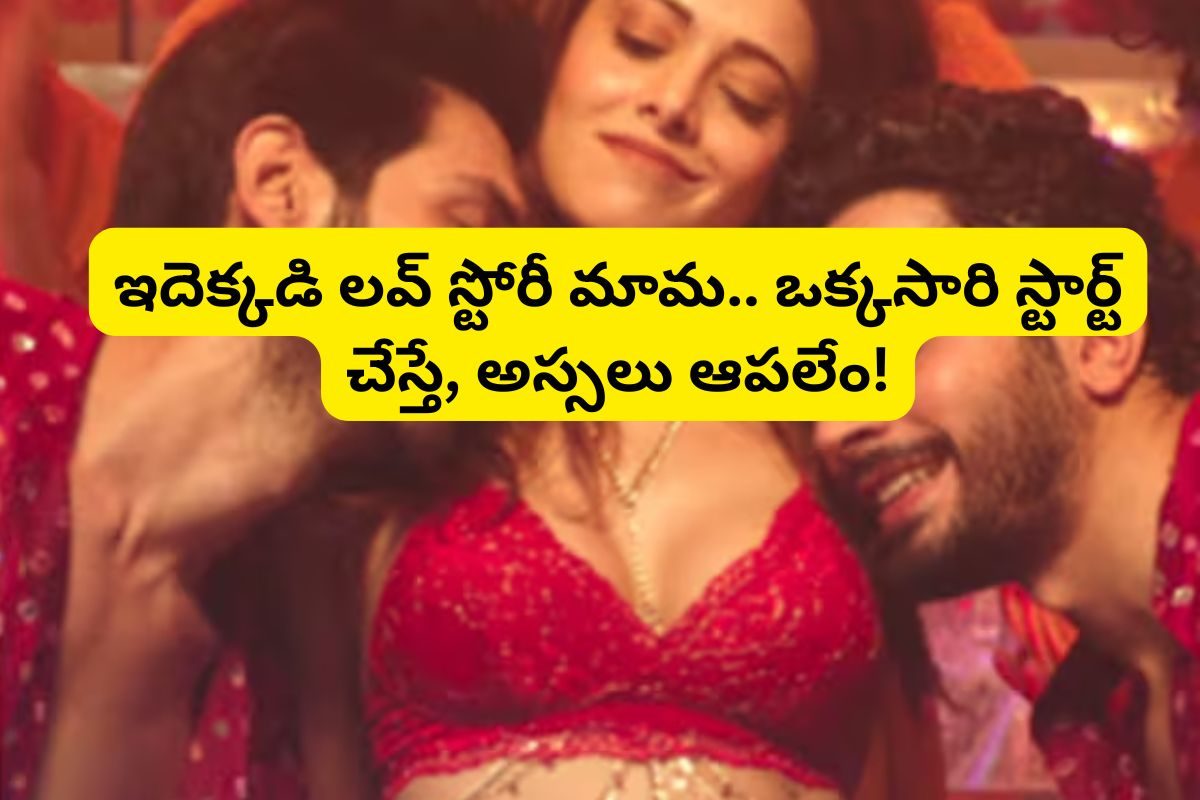 రూ.40 కోట్లు పెడితే.. రూ.160 కోట్లు వచ్చాయి మామ.. రాత్రికి రాత్రే స్టార్ హీరో అయ్యాడు!