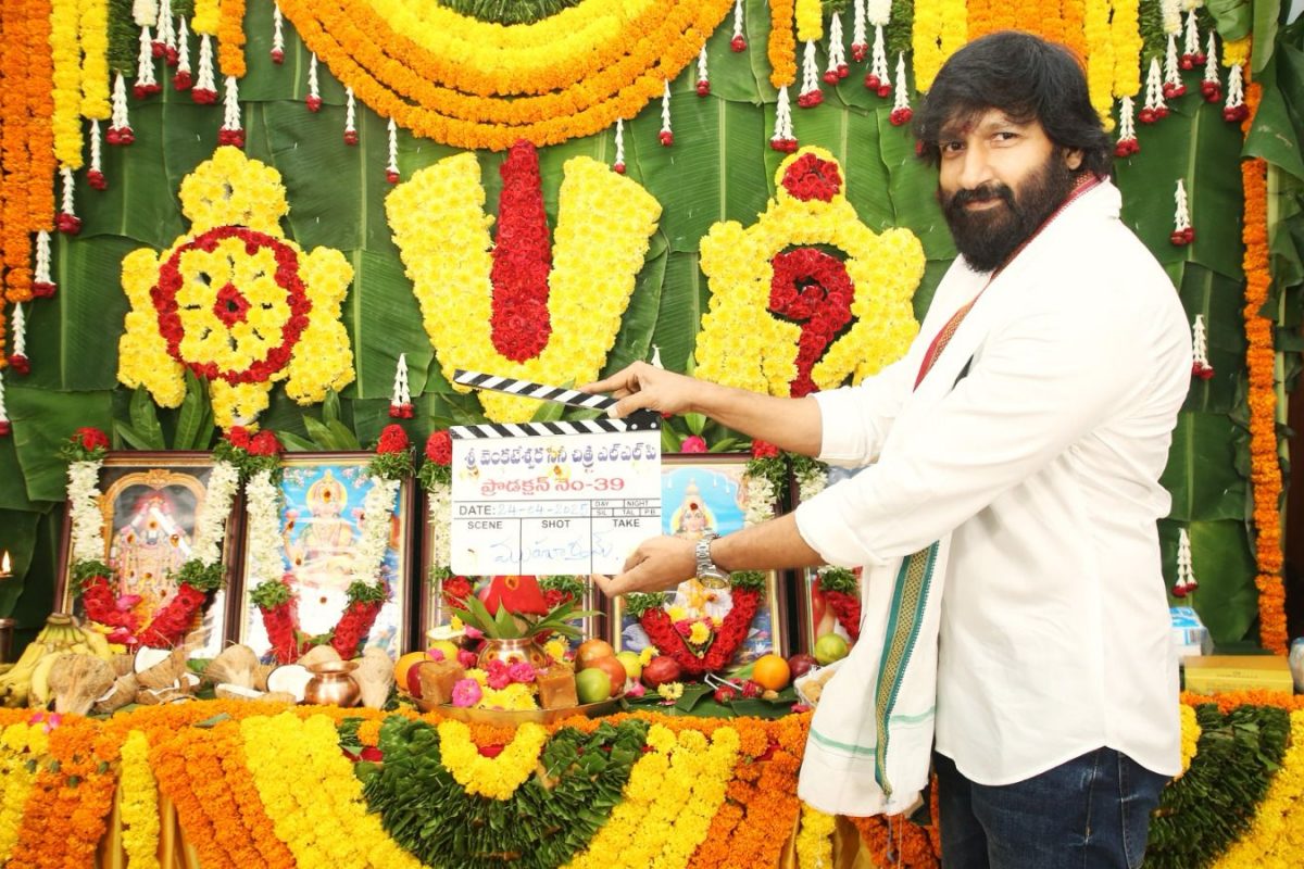 Gopichand: కొత్త సినిమా ప్రకటించిన గోపిచంద్.. ఈ సారి థ్రిల్లర్ జానర్‌తో!