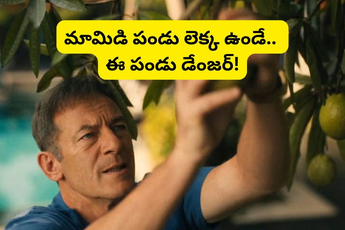 వామ్మో సూసైడ్ ఫ్రూట్‌.. ఇది తింటే మీ గుండె వెంటనే ఆగిపోతది.. పొరపాటున కూడా తినొద్దు!