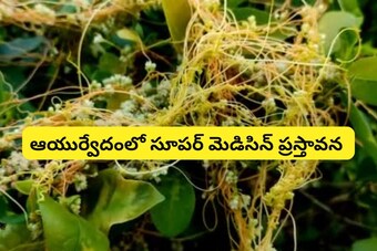 Ayurvedic News, Photos & Videos in Telugu - News18 తెలుగు