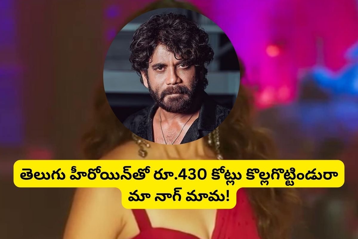 నాగ్ మామ నటించిన ఈ హిందీ సినిమా ఏకంగా రూ.431 కోట్లు కొల్లగొట్టిందని మీకు తెలుసా?