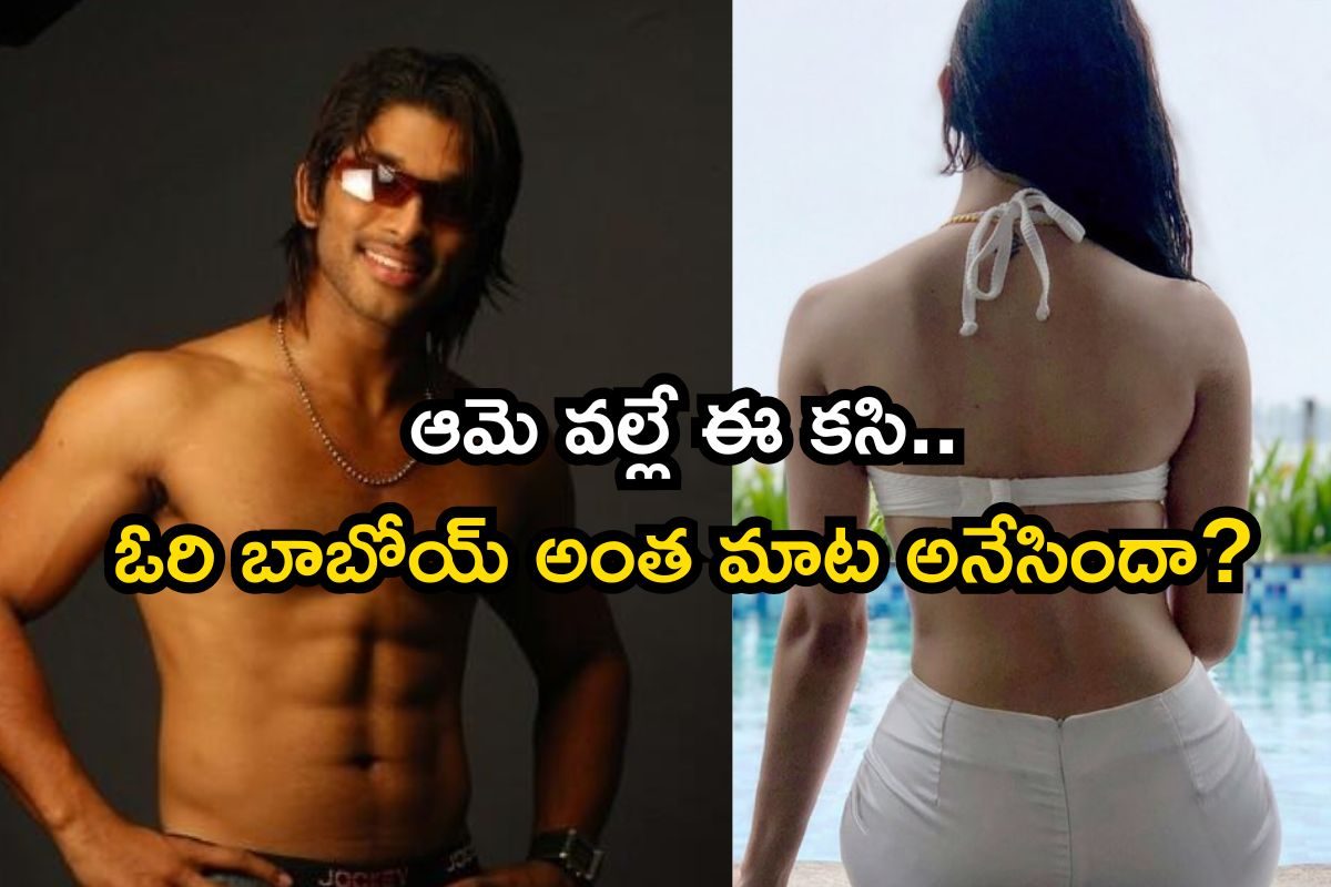 అల్లు అర్జున్ సిక్స్ ప్యాక్స్ సీక్రెట్.. ఆ హీరోయినే కారణమట! అయ్యబాబోయ్.. ఇంత జరిగిందా?