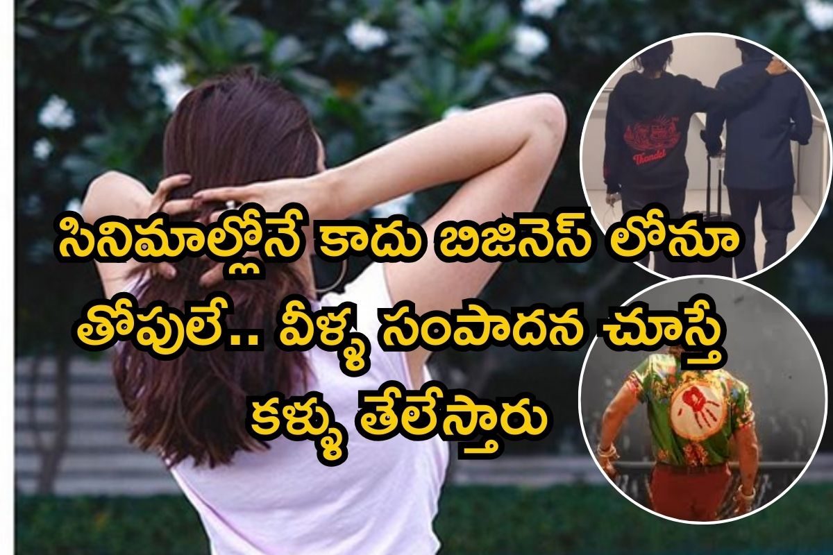 Tollywood Actors: సినిమాల్లోనే కాదు బిజినెస్ లోనూ ఈ తెలుగు స్టార్స్ తోపులే.. హైదరాబాద్‌లో