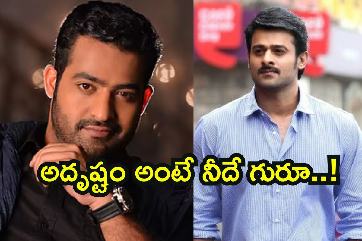 ప్రభాస్ కాదంటే ఎన్టీఆర్ క్యాచ్ చేశాడు.. కట్ చేస్తే రికార్డులు బద్దలు కొట్టిన సినిమా..