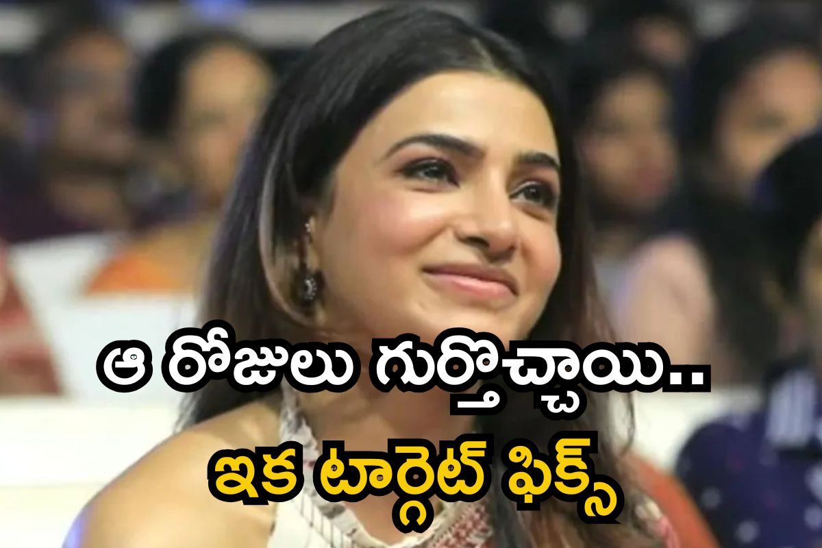 Samantha: సమంత టార్గెట్ ఫిక్స్.. ఇక మామూలుగా ఉండదేమో..!
