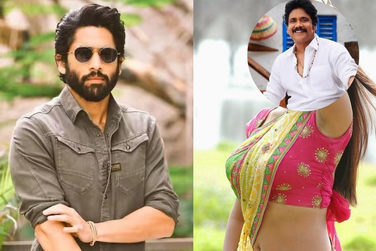 నాగ చైతన్యకు కోడలుగా నటించిన ఈ హీరోయిన్.. నాగార్జునతో ఏకంగా 4 సినిమాల్లో భార్యగా నటించింది