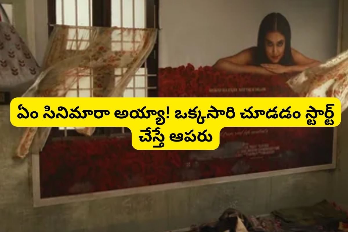 11 అవార్డులు, 70 కోట్ల కలెక్షన్లు.. ఓటీటీలో దుమ్మురేపుతున్న హార్రర్ సినిమా.. తెలుగులో ఉంది