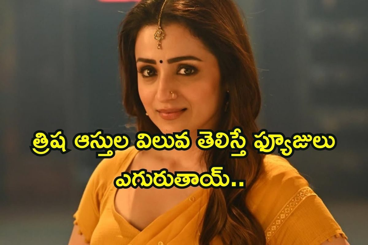 ఓరి బాబోయ్ త్రిష ఆస్తులు చూస్తే కళ్ళు చెదిరిపోతాయ్.. ఇండస్ట్రీ తోపు హీరోయిన్ మామూలు కాదయ్య