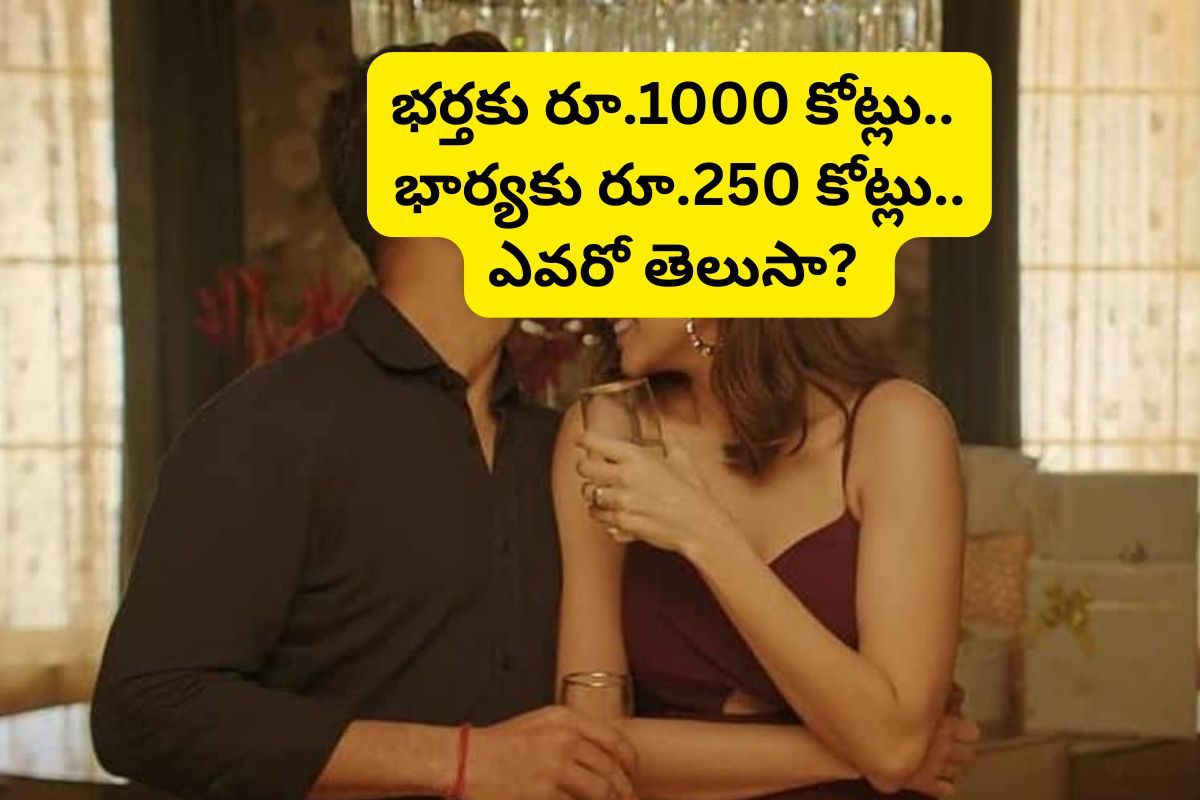భర్తకు రూ.1000 కోట్లు.. భార్యకు రూ.250 కోట్లు.. ఈ స్టార్ సెలబ్రెటీ కపుల్ ఎవరో తెలుసా?