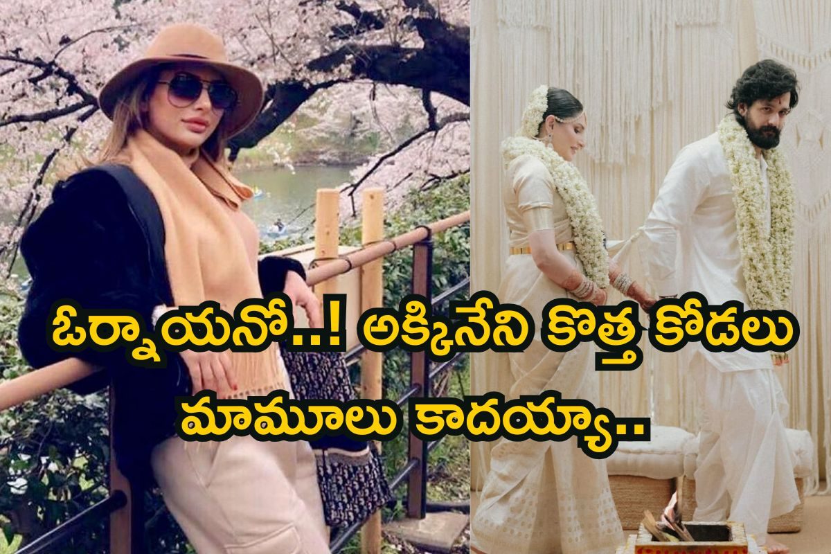 Akkineni Family: అక్కినేని కొత్త కోడలు మామూలు కాదండోయ్..! ఆ 2 విషయాల్లో తోపు అంతే..