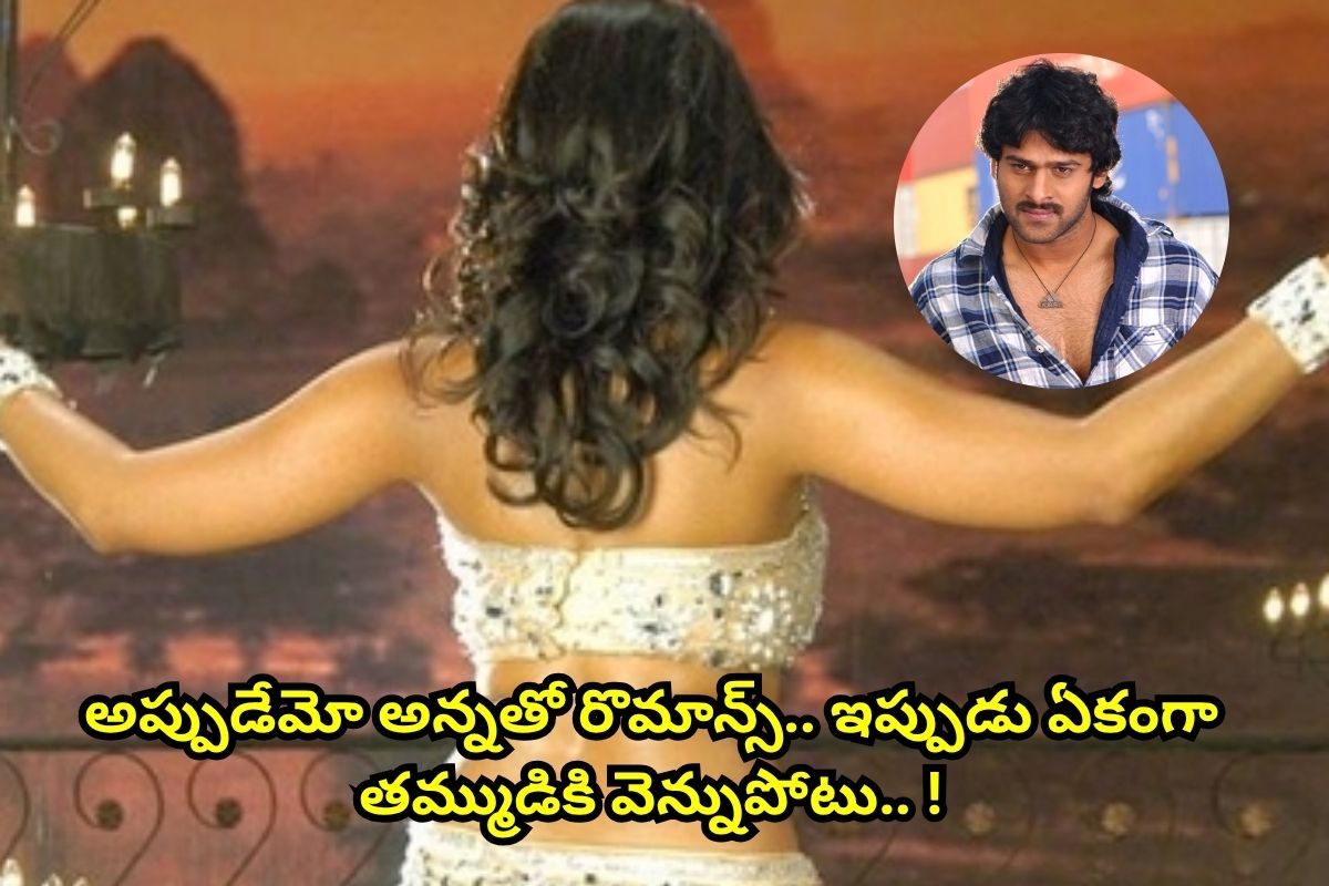 Actress: అప్పుడేమో అన్నతో రొమాన్స్ చేసింది.. ఇప్పుడు మాత్రం తమ్ముడికి వెన్నుపోటు..