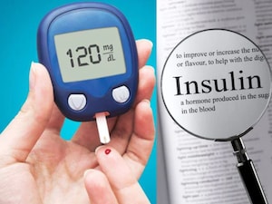 इंसुलिन प्लांट: मधुमेह रोगियों के लिए वरदान, घर पर आसानी से उगाएं!