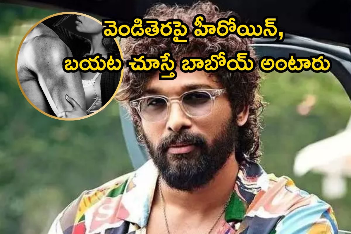 Telugu Heroine: ఈ అల్లు అర్జున్ హీరోయిన్ మామూలు తోపు కాదయ్యా.. సినిమాలే కాదు బయట కూడా..!