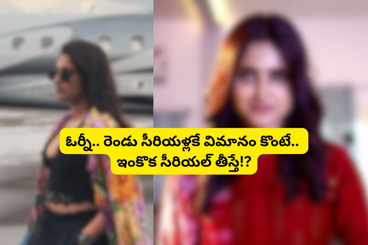 చేసింది రెండు సీరియల్లు.. కట్ చేస్తే ప్రైవేట్ విమానం కొనేసింది.. ఈ నటి హిస్టరీ తెలిస్తే!?