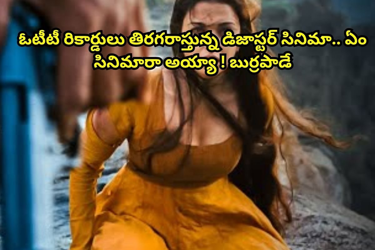 Disaster Movie: మొగుడు, పెళ్లాం కలిసి నటించారు.. కట్ చేస్తే, ఘోరమైన డిజాస్టర్.. బుర్రపాడు