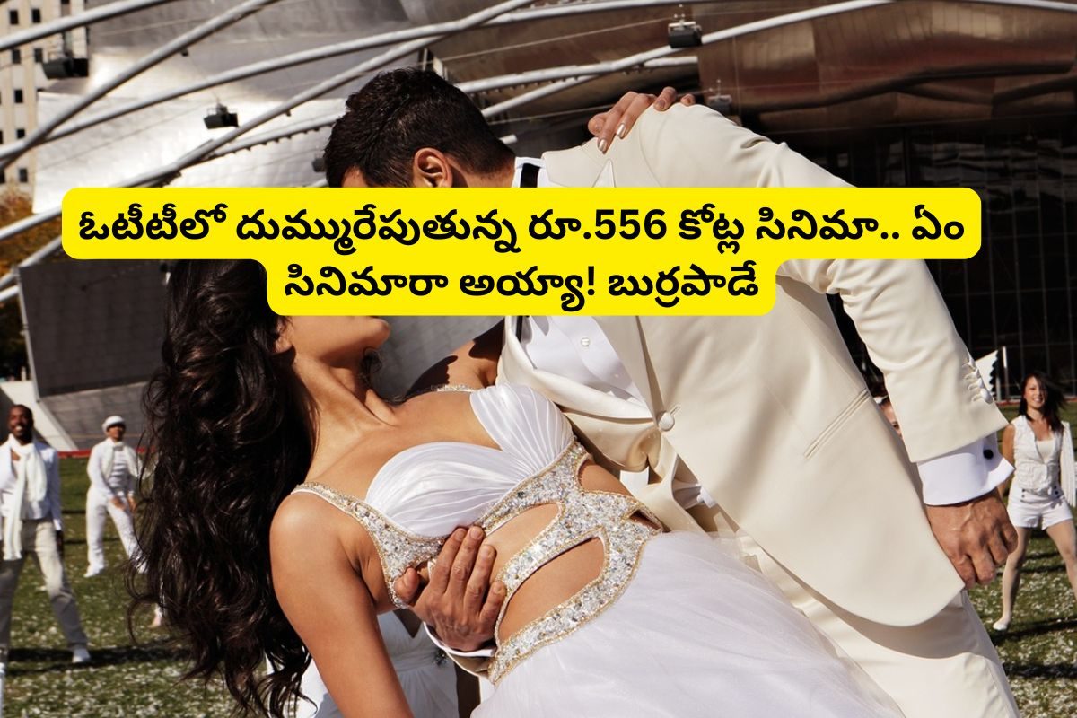 ఓటీటీలో దుమ్మురేపుతున్న రూ.556 కోట్ల బ్లాక్ బస్టర్ సినిమా.. ఇంటర్వెల్ ట్విస్ట్‌ బుర్రపాడే