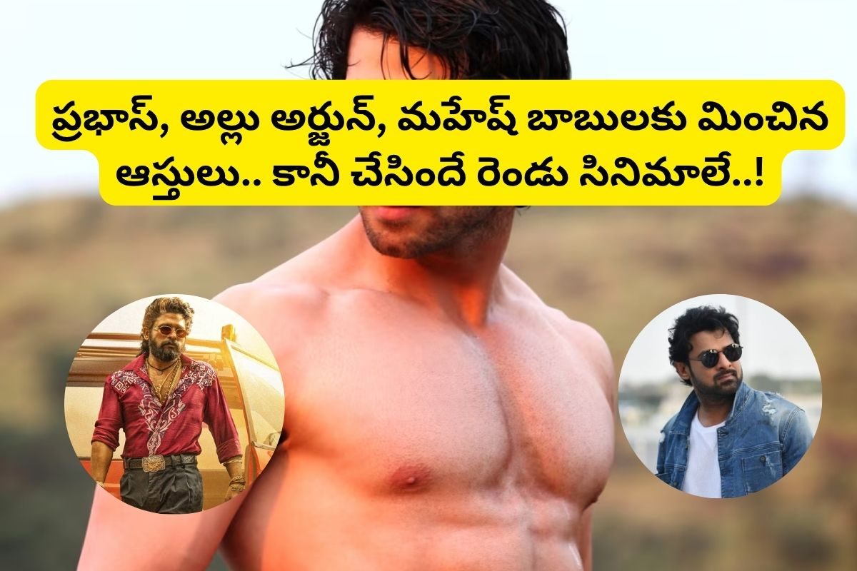చేసింది రెండే రెండు సినిమాలు.. కానీ ప్రభాస్, రామ్ చరణ్, అల్లు అర్జున్ కంటే ఎక్కువ ఆస్తులు!