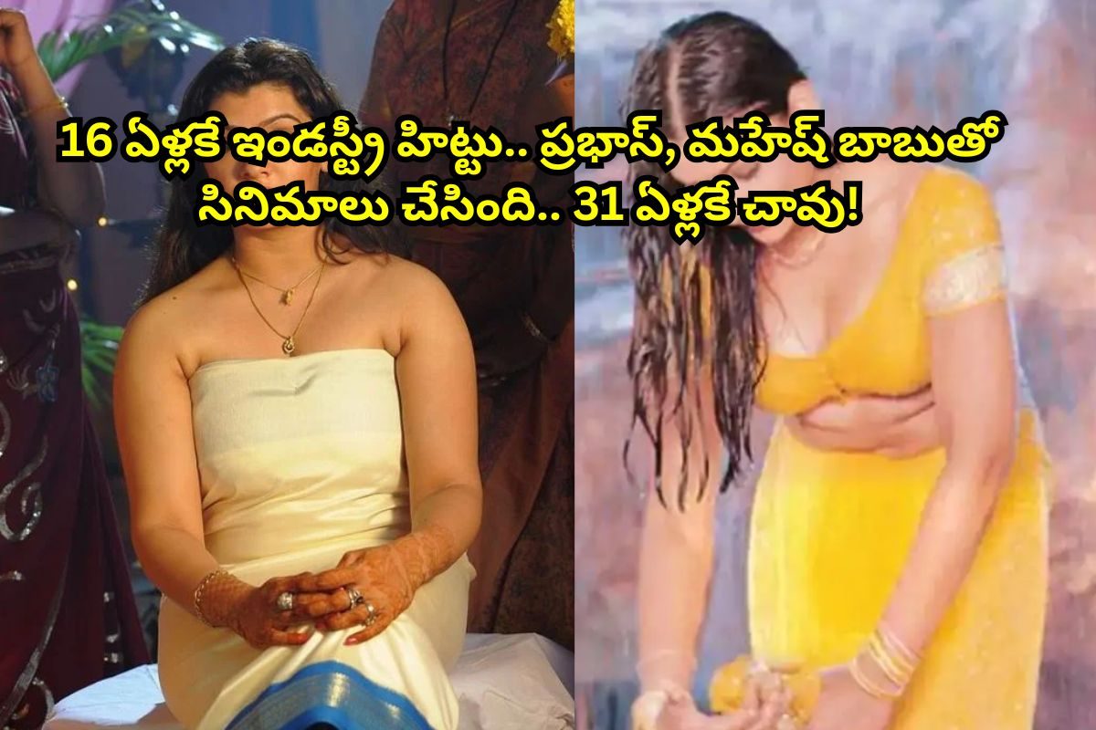 16 ఏళ్లకే ఇండస్ట్రీ హిట్టు కొట్టింది.. 17 ఏళ్లకే NTR, మహేష్ బాబు, ప్రభాస్‌లతో సినిమాలు..!