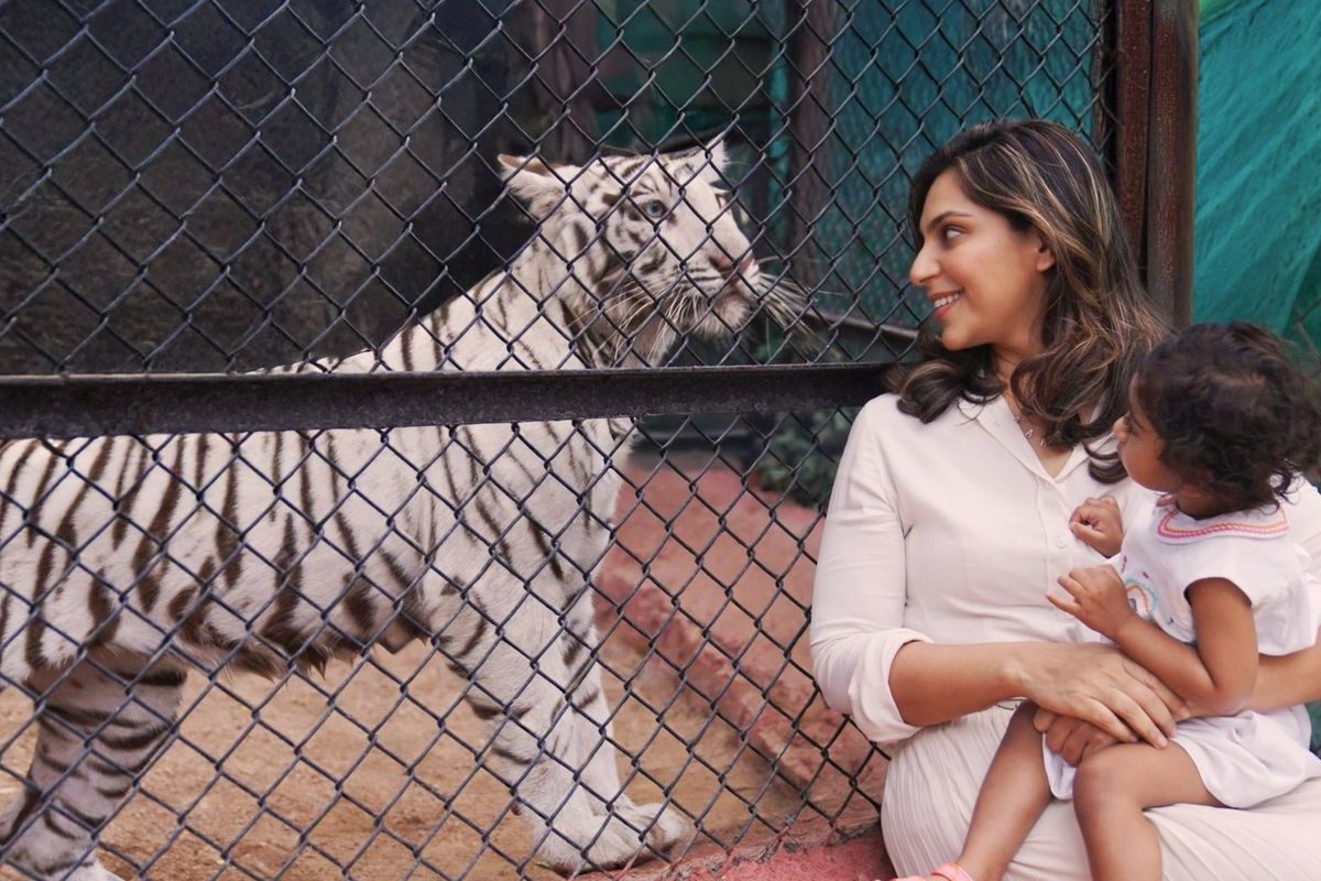 Upasana: పులిపిల్లను దత్తత తీసుకున్న ఉపాసన.. క్లీంకార పేరే పెట్టామంటూ పోస్ట్