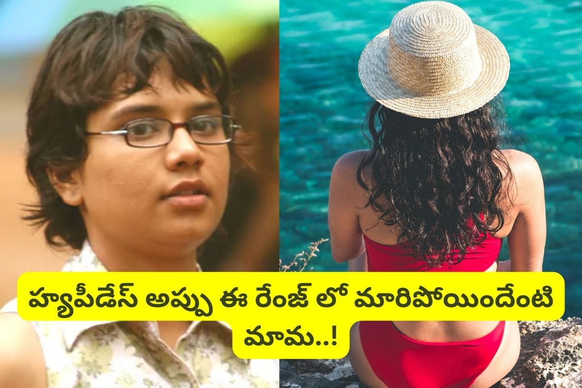 Actress: హ్యాపీడేస్ సినిమాలో అప్పు గుర్తుందా?.. ఇప్పుడెలా ఉందో చూస్తే ఫ్యూజులు ఎగిరిపోతాయ్