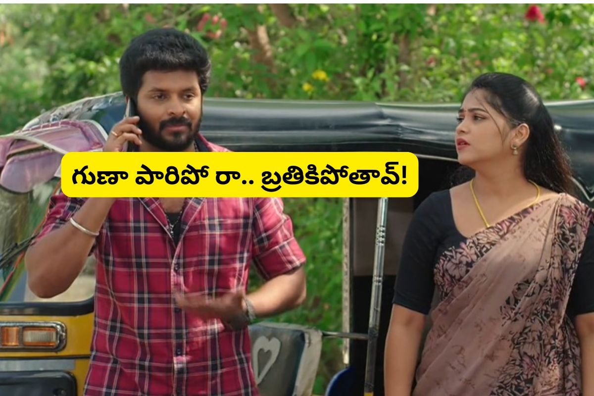 హమ్మయ్యా బాలు, మీనాలు సేఫ్! రేయ్ గుణా దేశం వదిలి పారిపో, బాలు నిన్ను లేపేస్తాడు!