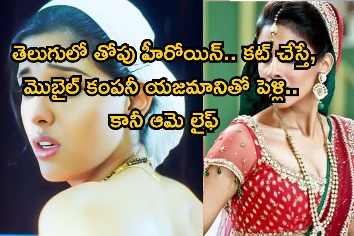 తెలుగులో తోపు హీరోయిన్.. కట్ చేస్తే మొబైల్ కంపనీ యజమానితో పెళ్లి.. స్టార్ హీరో కారణంగా ఆమె