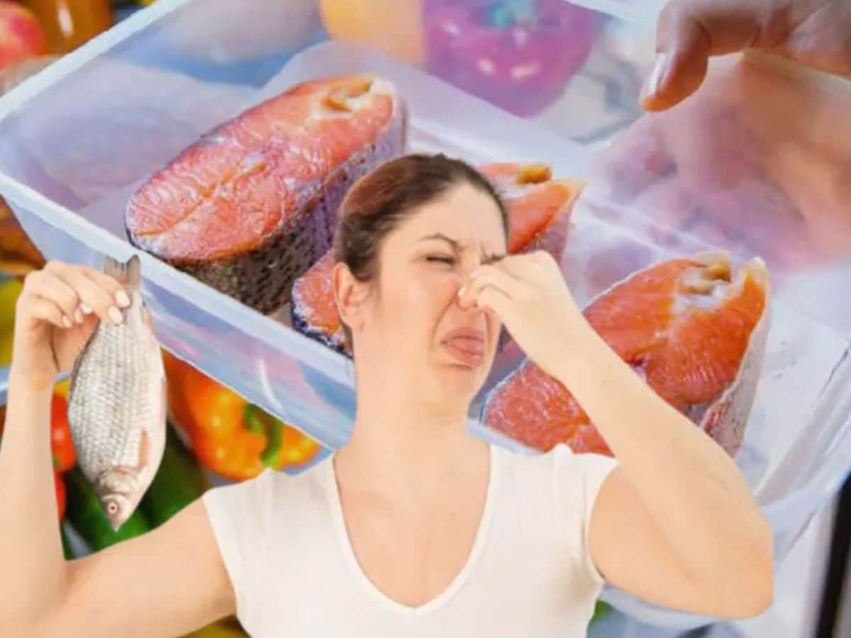 Fish Frig Fish in Fridge: చేపలను ఫ్రిజ్లో ఎలా నిల్వ చేయాలి?.. సరైన పద్ధతిలో ...