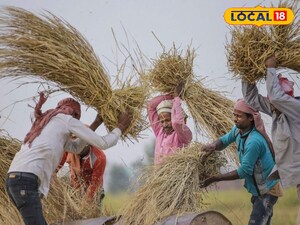 Paddy Farmers Alert: Cold Threatens Nurseries, MAO Saikiran Offers Solutions