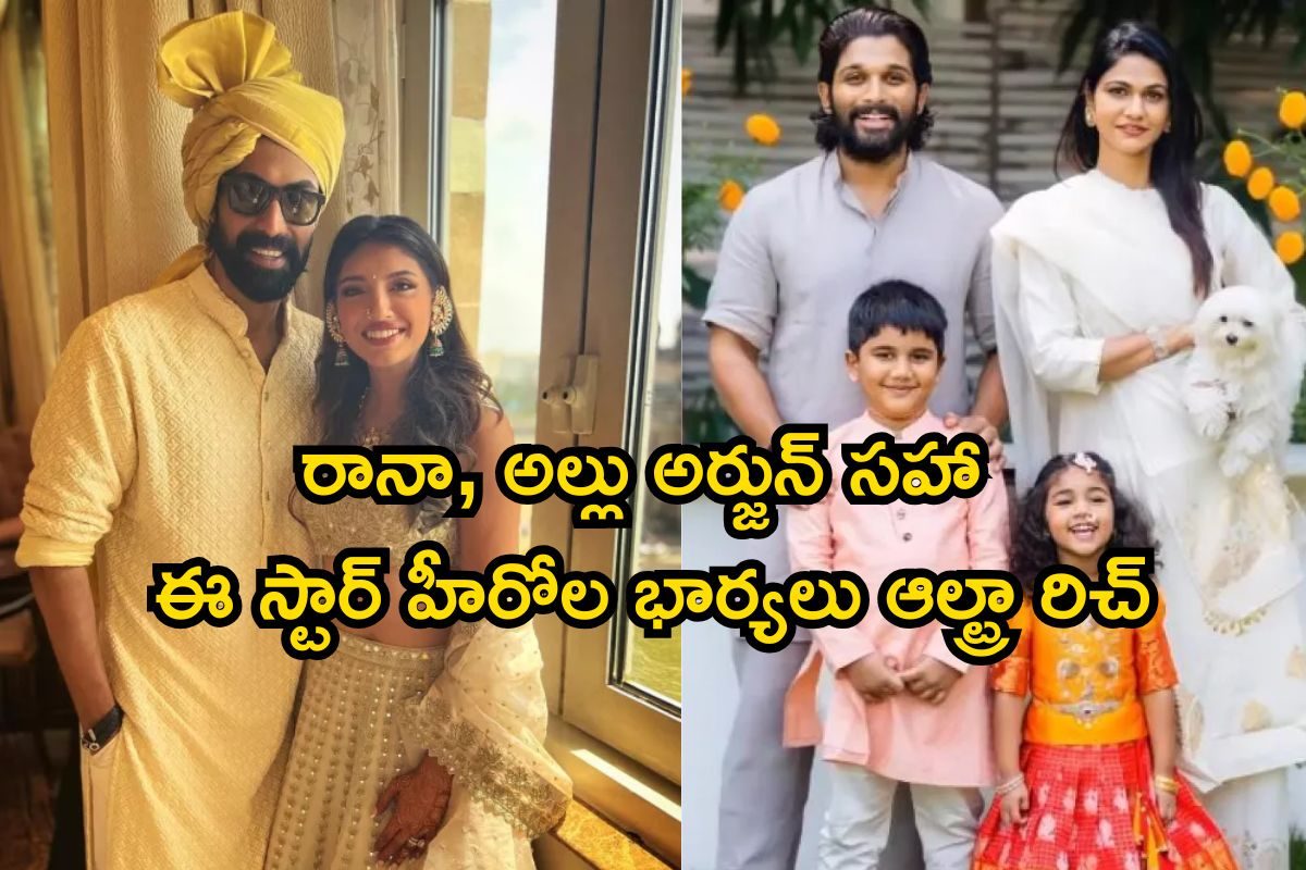 ఈ తెలుగు హీరోల భార్యలు ఆల్ట్రా రిచ్.. బడా వ్యాపారవేత్తల కూతుళ్లను పెళ్లాడిన స్టార్స్
