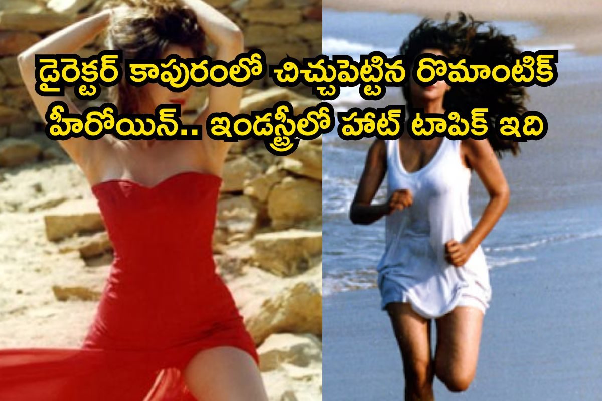 Top Heroine: డైరెక్టర్ కాపురంలో చిచ్చుపెట్టిన రొమాంటిక్ హీరోయిన్‌.. చివరకు కెరీర్‌ నాశనం,