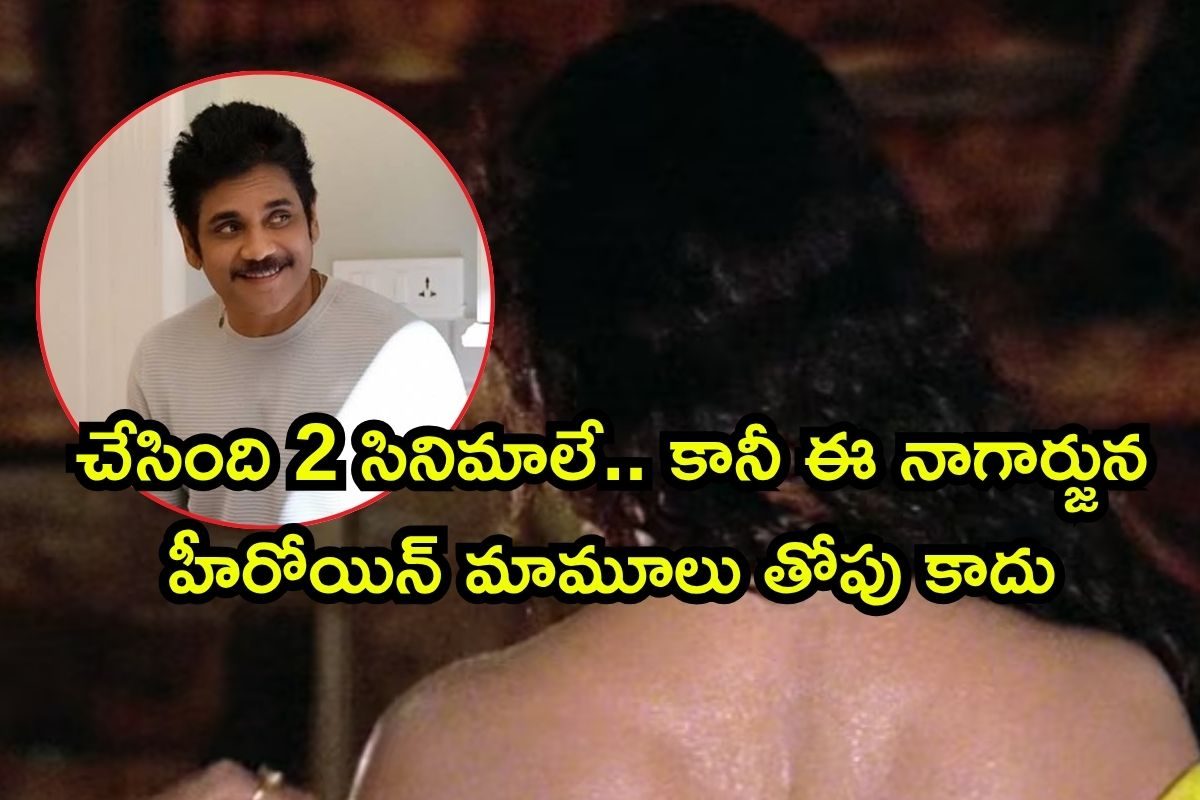 Rich Heroine: ఈ నాగార్జున హీరోయిన్ బిజినెస్‌లో తోపు.. ఏకంగా రూ.4,600 కోట్ల ఆస్తికి యజమాని