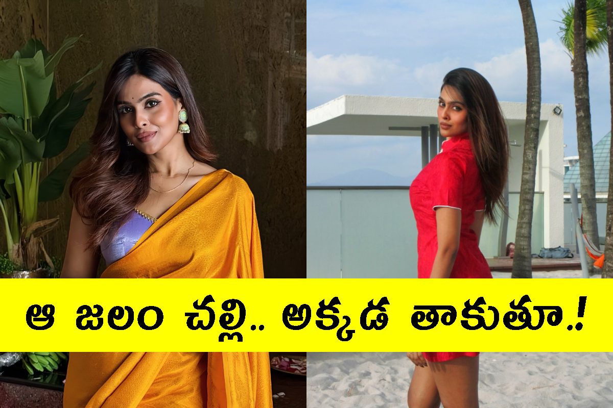 భారత పూజారిపై మాజీ మిస్ మలేషియా ఆరోపణలు.. లైంగికంగా వేధించాడని కంప్లైంట్