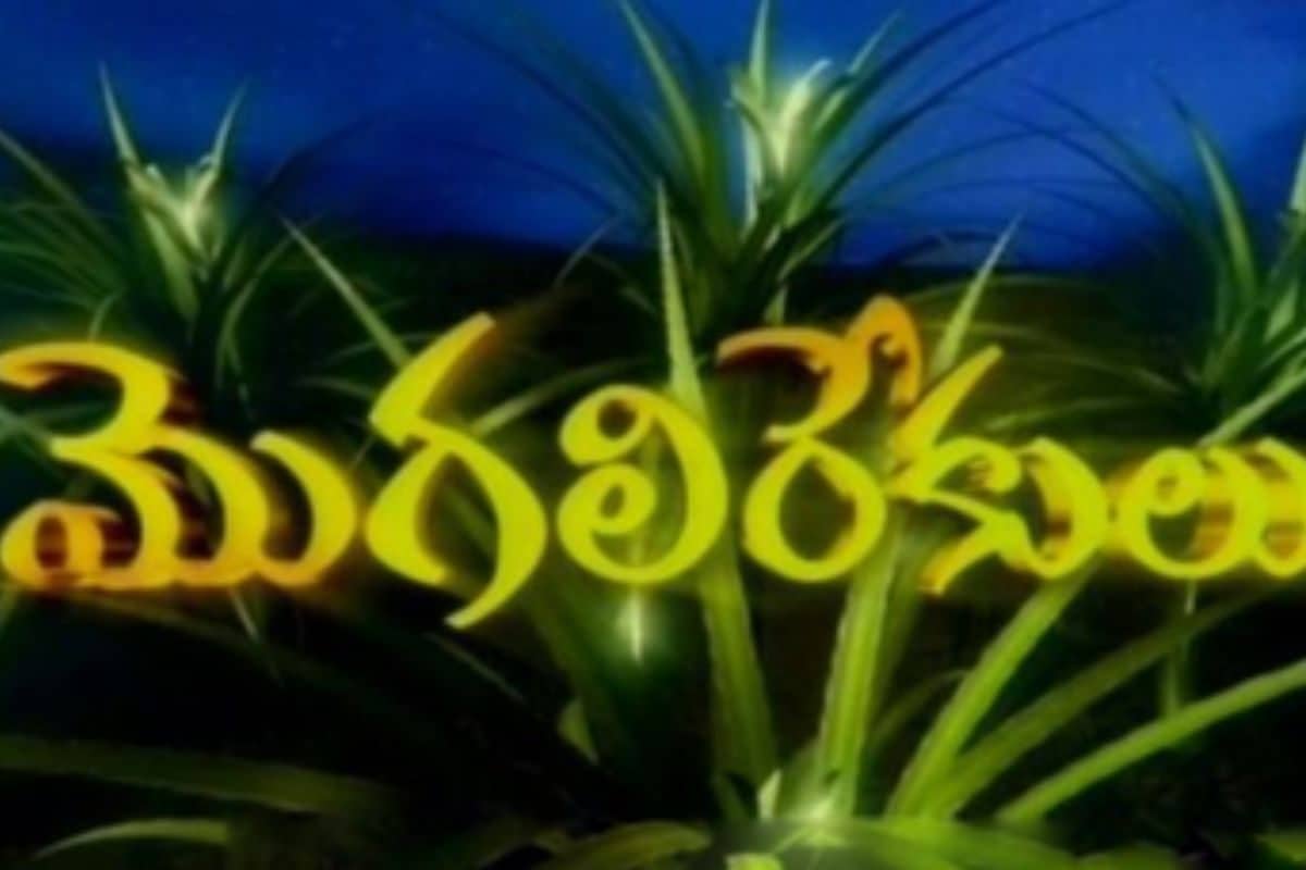 Mogali Rekulu Serial: మొగలిరేకులు సీరియల్‌ని కావాలనే ఆపేశారా.. కారణం ఏంటో తెలిస్తే ఫ్యూజుల