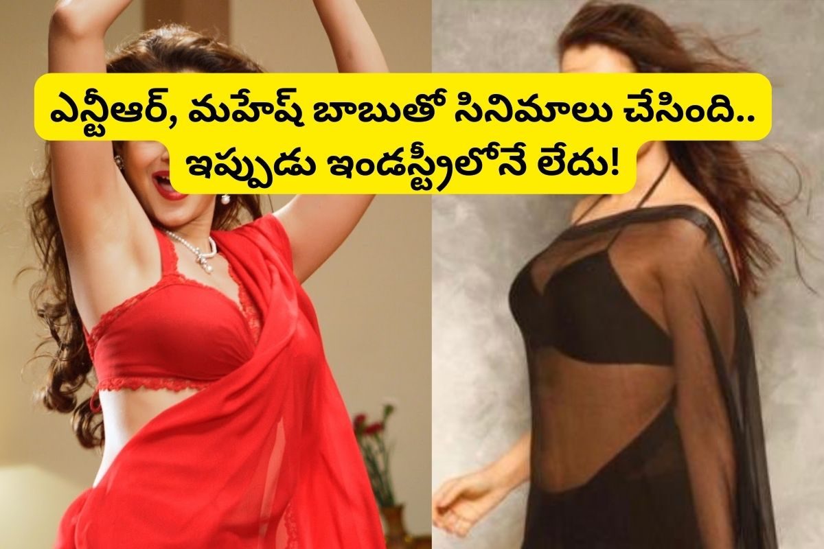 మహేష్ బాబు, ఎన్టీఆర్‌లతో సినిమాలు చేసింది.. చివరికి, ఇండస్ట్రీలోనే కనిపించకుండా పోయింది..!