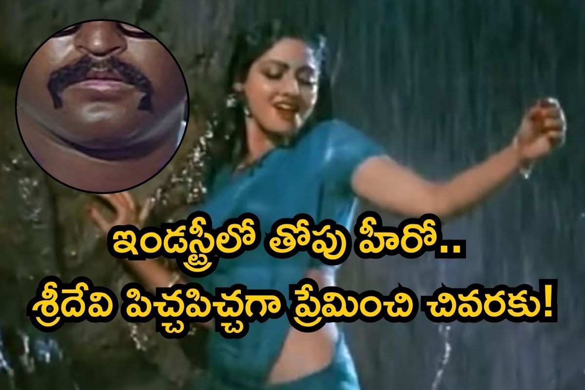 Sridevi: శ్రీదేవిని పిచ్చపిచ్చగా ప్రేమించిన తోపు హీరో.. 19 సినిమాలు చేసి చివరకు! ఈ లవ్