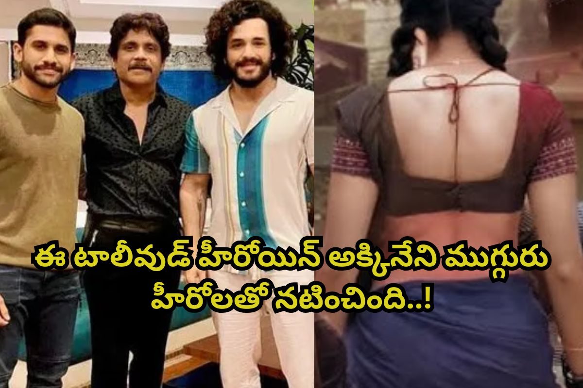 నాగార్జున, నాగ చైతన్య, అఖిల్.. ఈ ముగ్గురు తండ్రి, కొడుకులతో నటించిన ఏకైక హీరోయిన్ ఎవరంటే?