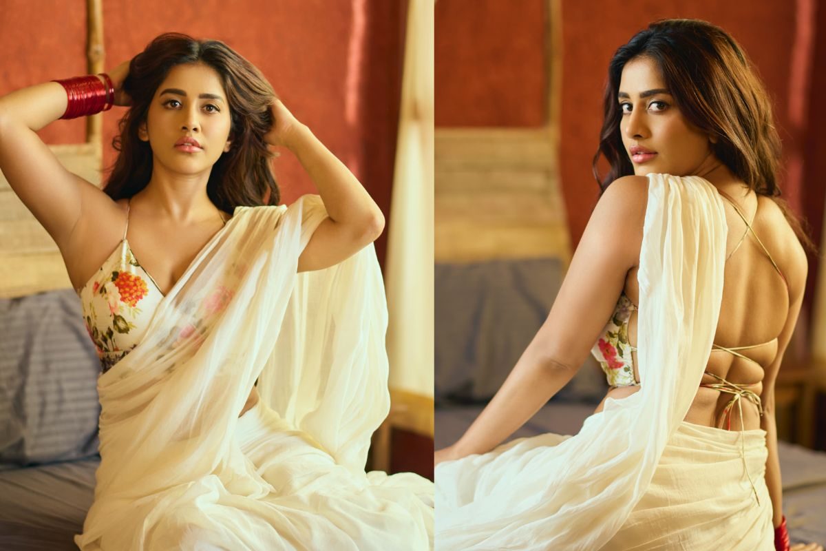 వైట్ కలర్ శారీలో 'ఇస్మార్ట్' బ్యూటీ సొగసులు.. కాస్త చూడండయ్యా డైరెక్టర్లు, నిర్మాతలు..!