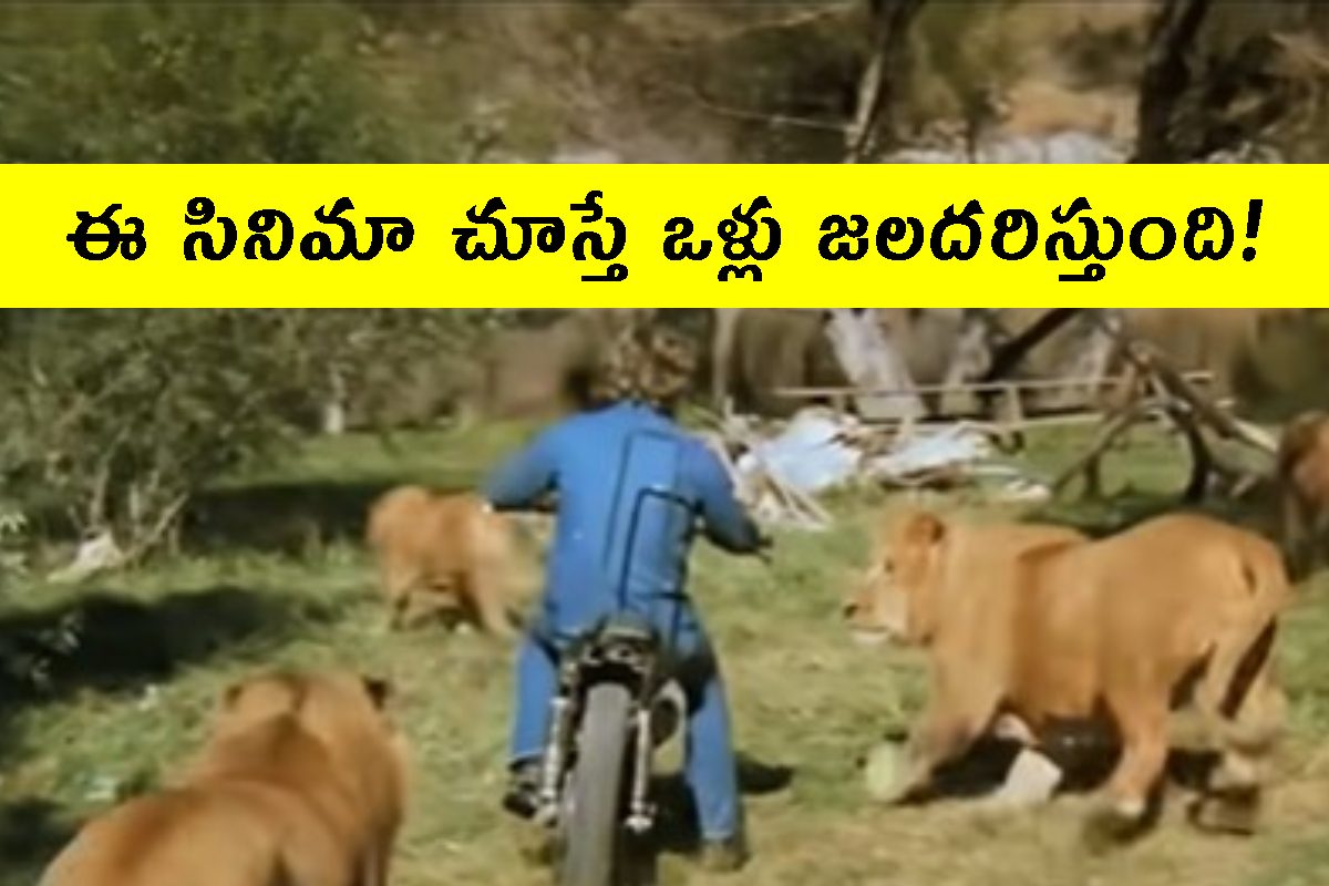 ప్రపంచంలో భయంకర సినిమా ఇదే.. నటీనటులతోపాటూ.. 70 మంది గాయపడ్డారు.!