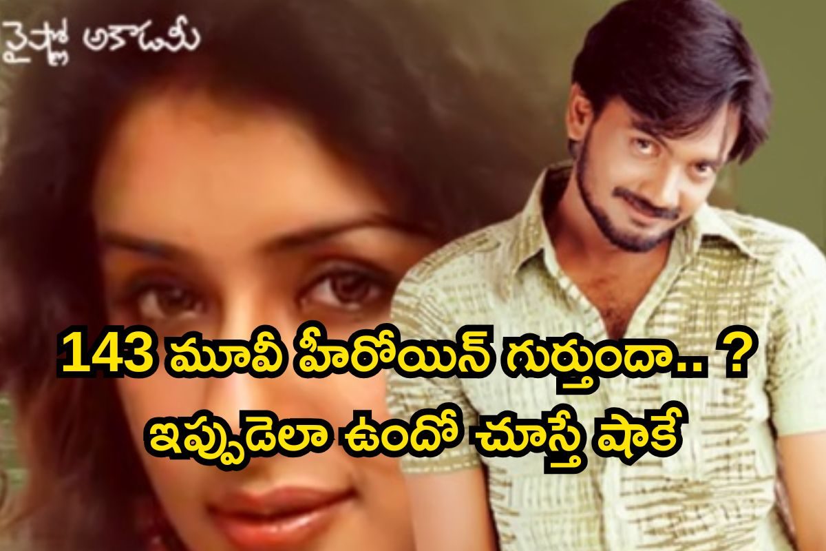 143 మూవీ హీరోయిన్ గుర్తుందా..? ఇప్పుడెలా ఉంది, ఏం చేస్తుందో తెలిస్తే పిచ్చెక్కిపోతారు