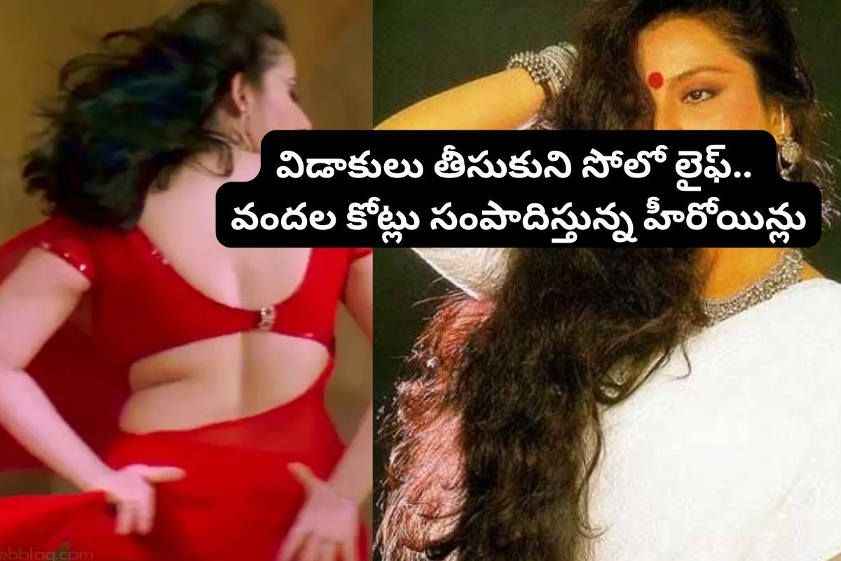 విడాకులు తీసుకుని రెండో పెళ్లి చేసుకోని హీరోయిన్స్ వీళ్లే.. సోలో లైఫ్‌తోనే వందల కోట్లు