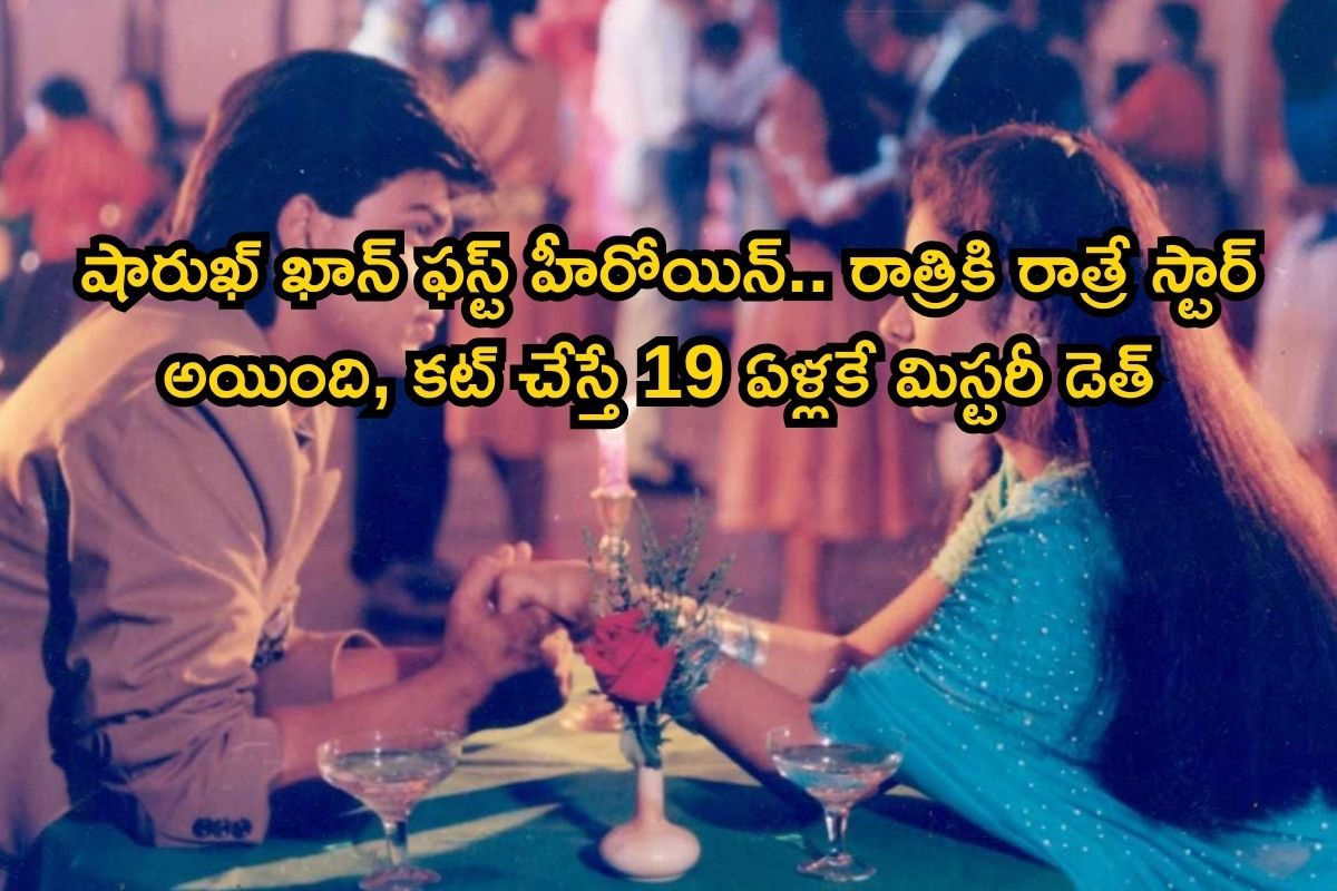 Star Heroine: షారుఖ్ ఖాన్ ఫస్ట్ హీరోయిన్.. రాత్రికి రాత్రే స్టార్ అయింది, కట్ చేస్తే 19 ఏళ