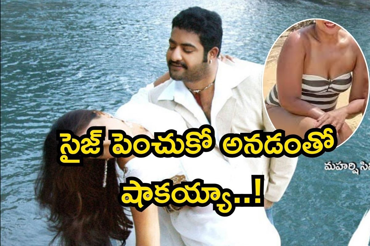 Jr Ntr Heroine: ఆ పార్ట్ సైజ్ పెంచుకో అన్నారు, అవి షాకింగ్ ఇన్సిడెంట్స్.. ఎన్టీఆర్ హీరోయిన