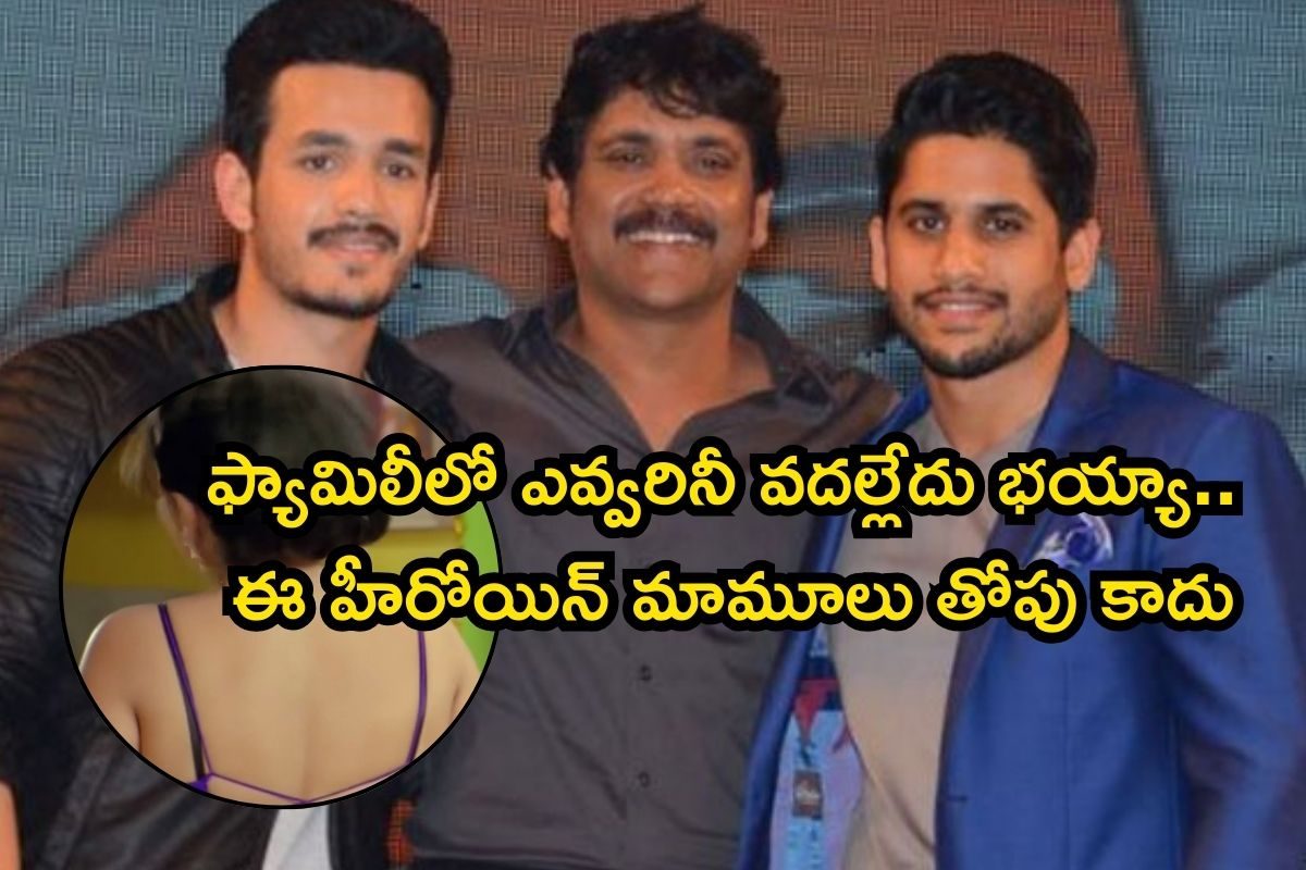 Heroine: కుర్రాళ్ళ డ్రీమ్ గర్ల్.. ఈ హీరోయిన్ అక్కినేని ఫ్యామిలీకి చాలా స్పెషల్, ఎందుకంటే..