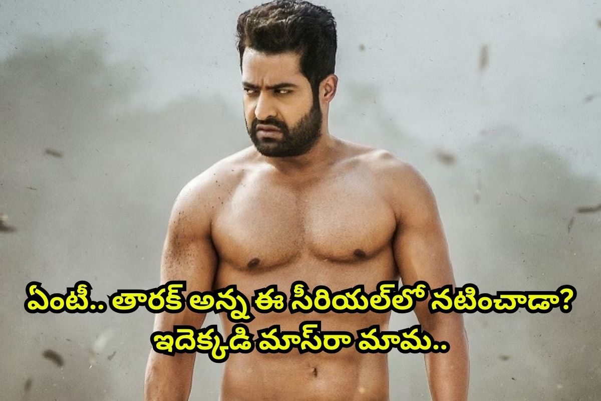 ఎన్టీఆర్ నటించిన ఏకైక సీరియల్ ఏంటో తెలుసా? ఓరినీ ఆ సీరియల్‌లో నటించింది తారక్ అన్ననా..!