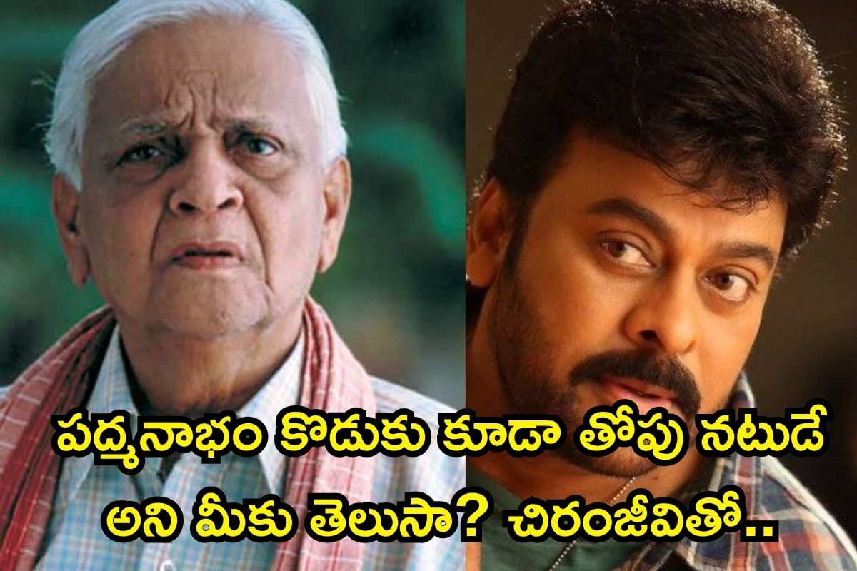 Padmanabham: పద్మనాభం కొడుకు కూడా తోపు నటుడే అని మీకు తెలుసా? చిరంజీవి హిట్ సినిమాల్లో అలా