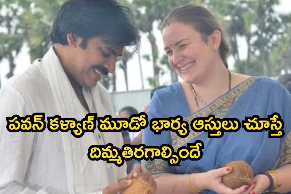 పవన్ కళ్యాణ్ మూడో భార్య గురించి ఈ సీక్రెట్స్ తెలుసా? ఆస్తులు చూస్తే దిమ్మతిరగాల్సిందే
