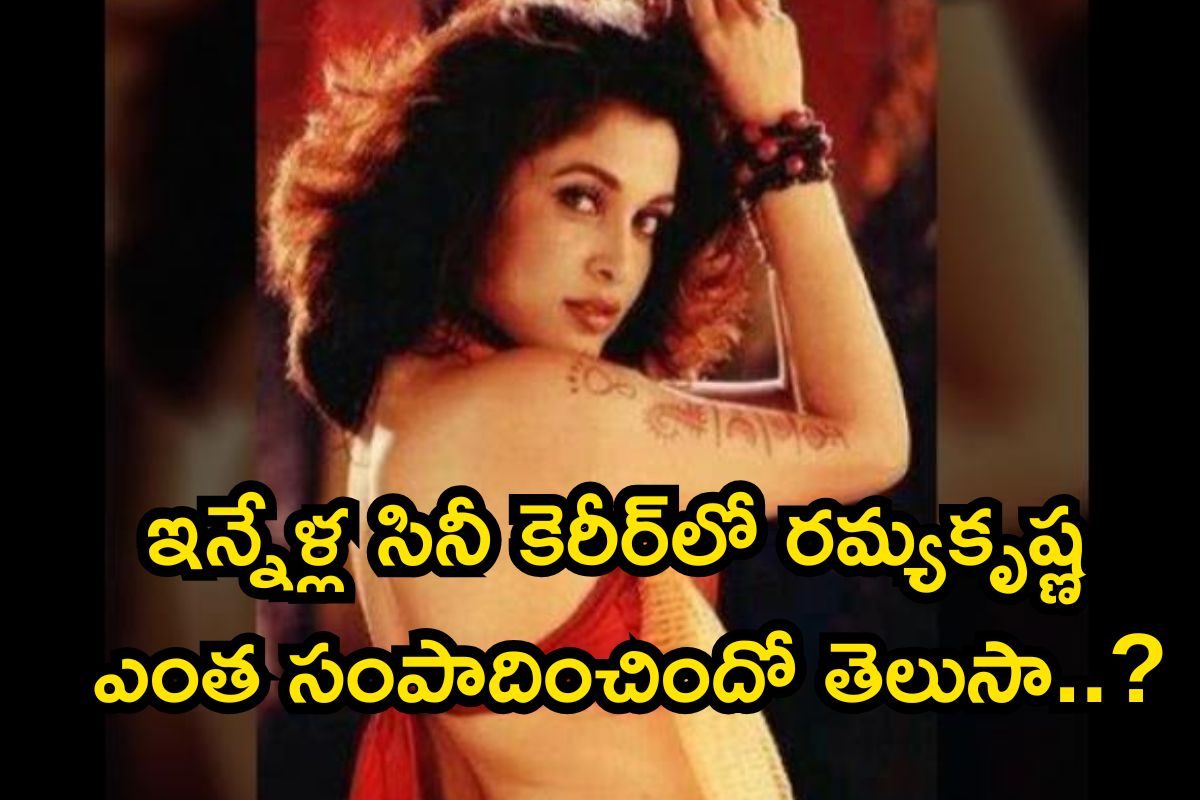 ఇన్నేళ్ల సినీ కెరీర్‌లో రమ్యకృష్ణ ఎంత సంపాదించిందో తెలుసా..? ఈ నెంబర్ చూస్తే షాకవుతారు