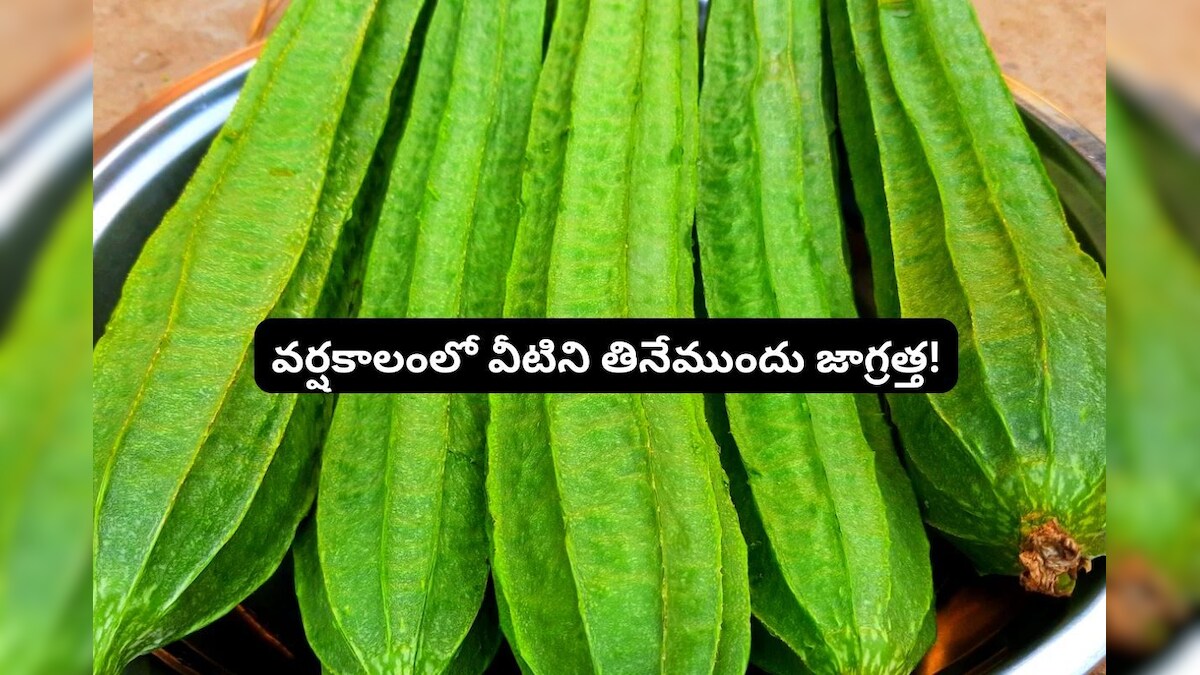 Ridge Gourd: వర్షాకాలంలో బీరకాయలు కొనేటప్పుడు జాగ్రత్త..! ఈ టిప్స్ ...