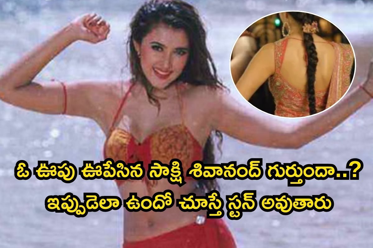 కుర్రకారును ఓ ఊపు ఊపేసిన సాక్షి శివానంద్ గుర్తుందా..? ఇప్పుడెలా ఉందో చూస్తే స్టన్ అవుతారు